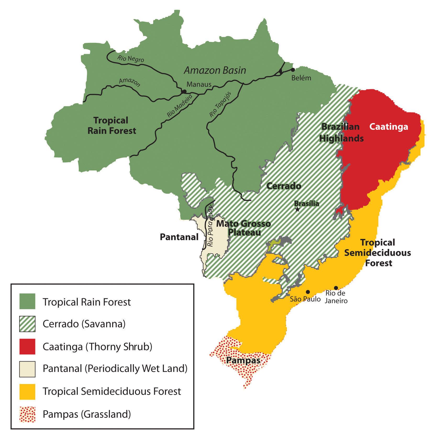 Roślinność Brazylii - mapa Brazylii roślinności (Ameryka Południowa ...