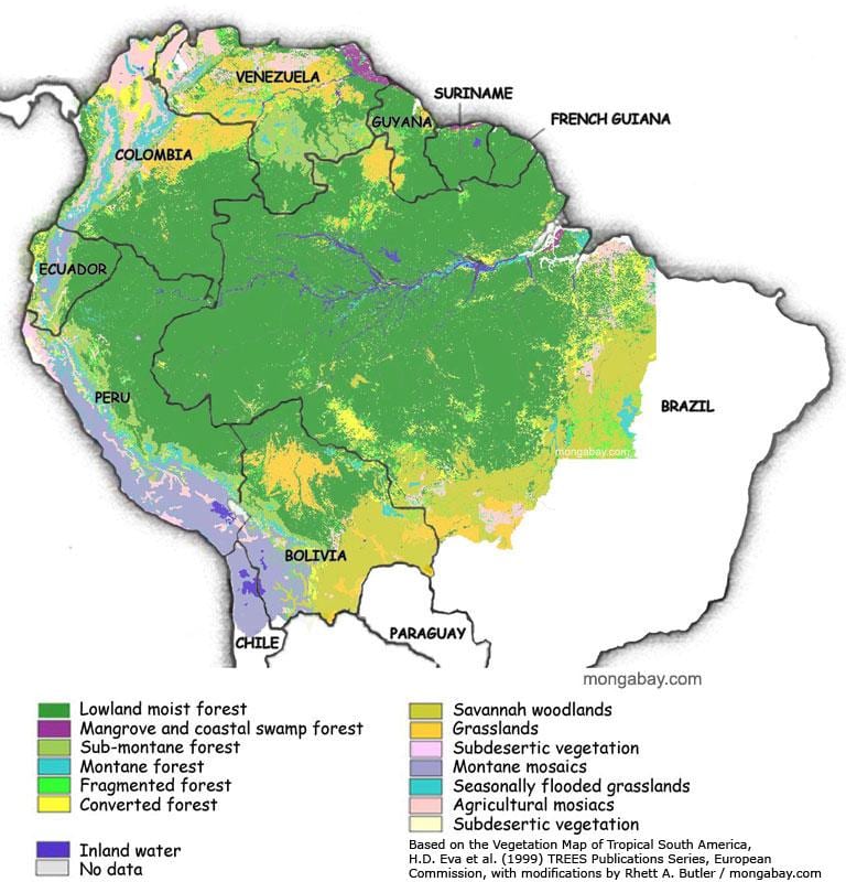 mapa Brazylii lasu