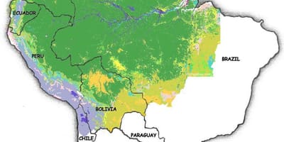 Mapa Brazylii lasu
