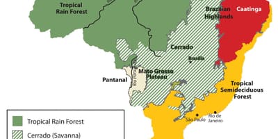 Mapa Brazylii roślinności