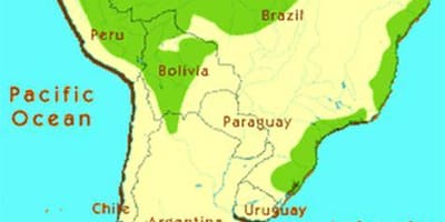 Tropikalny las w Brazylii mapa